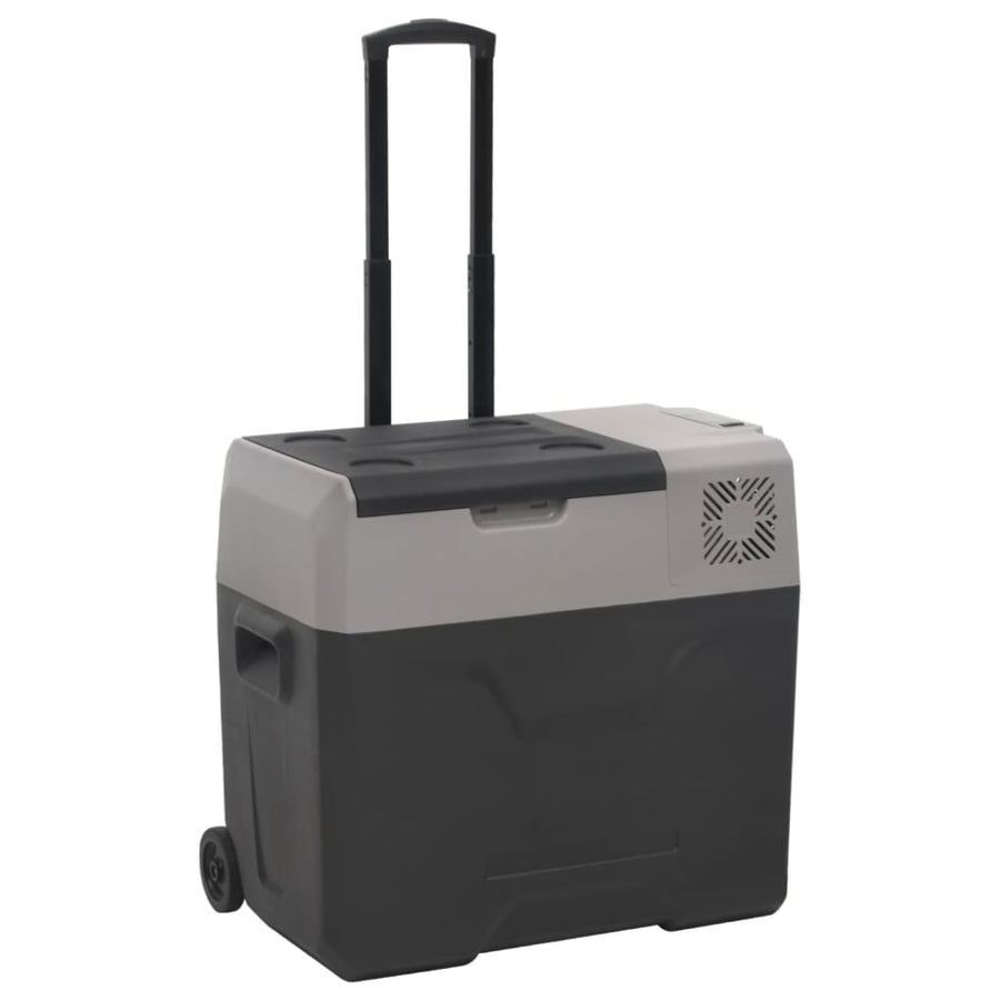 Koelbox Met Wielen En Handvat 50 L Polypropeen Zwart En Grijs