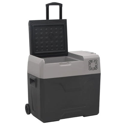 Koelbox Met Wielen En Handvat 50 L Polypropeen Zwart En Grijs
