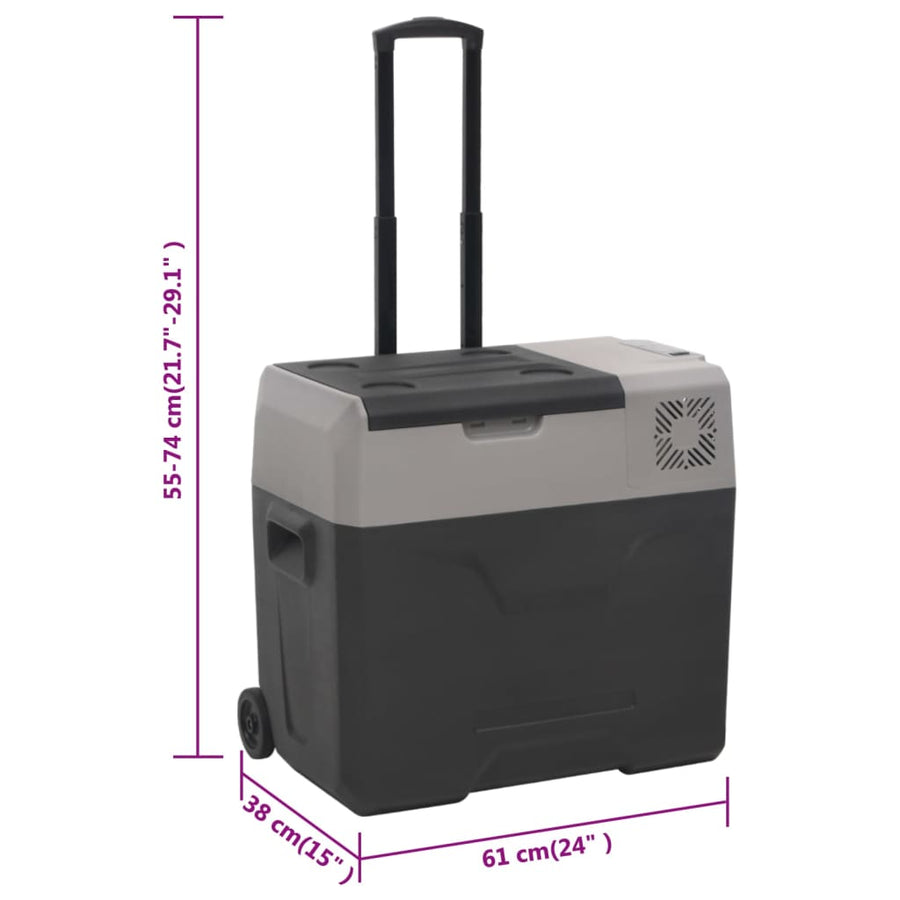 Koelbox Met Wielen En Handvat 50 L Polypropeen Zwart En Grijs
