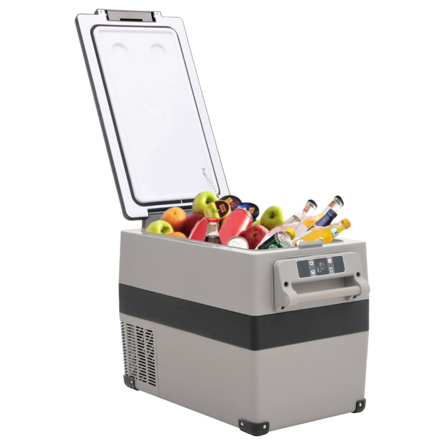 Koelbox Met Handvat 35 L Pp & Pe Zwart En Wit