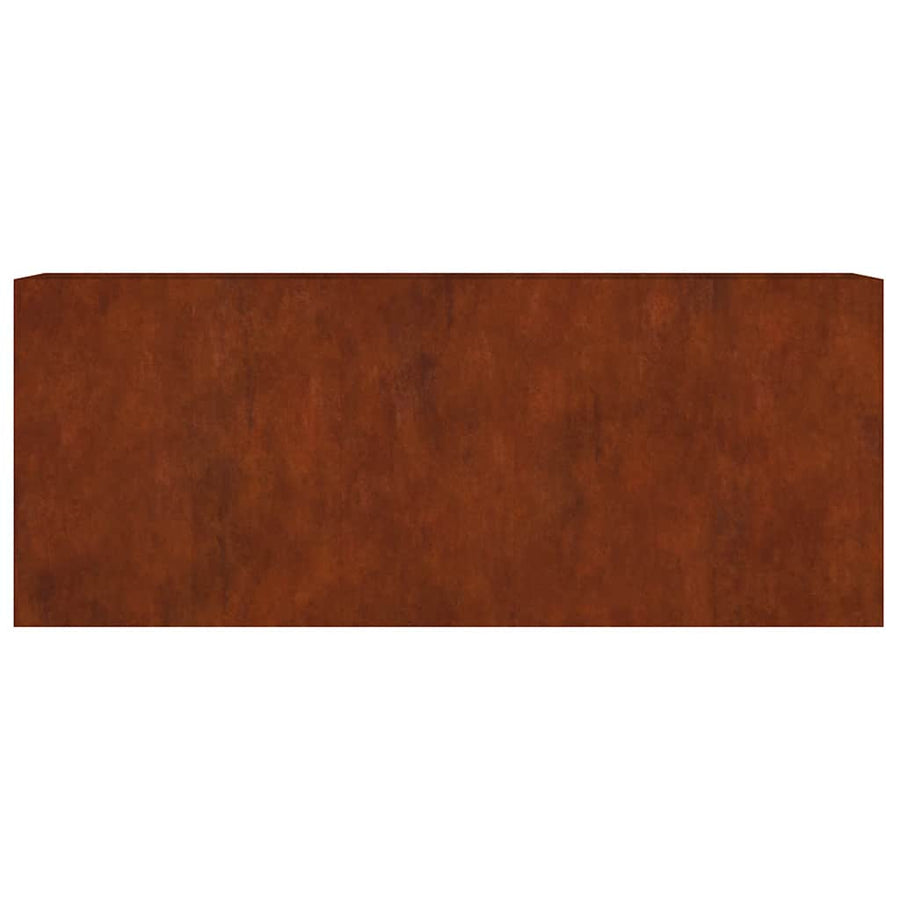 Plantenbak verhoogd 200x40x80 cm cortenstaal