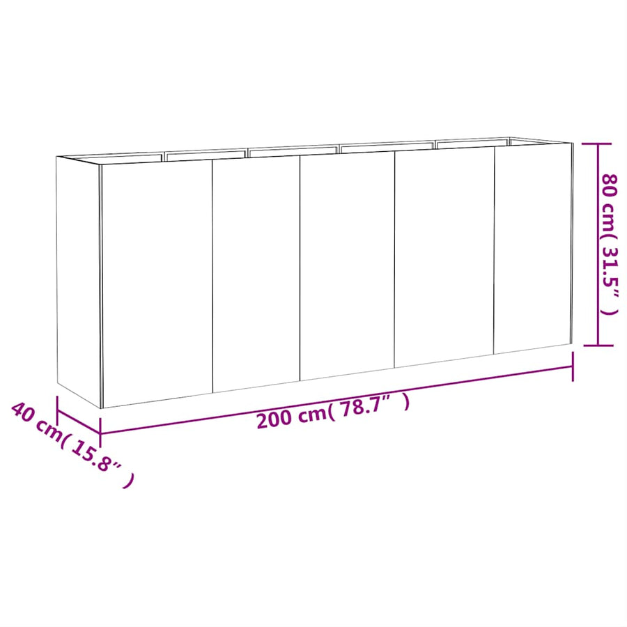 Plantenbak verhoogd 200x40x80 cm cortenstaal