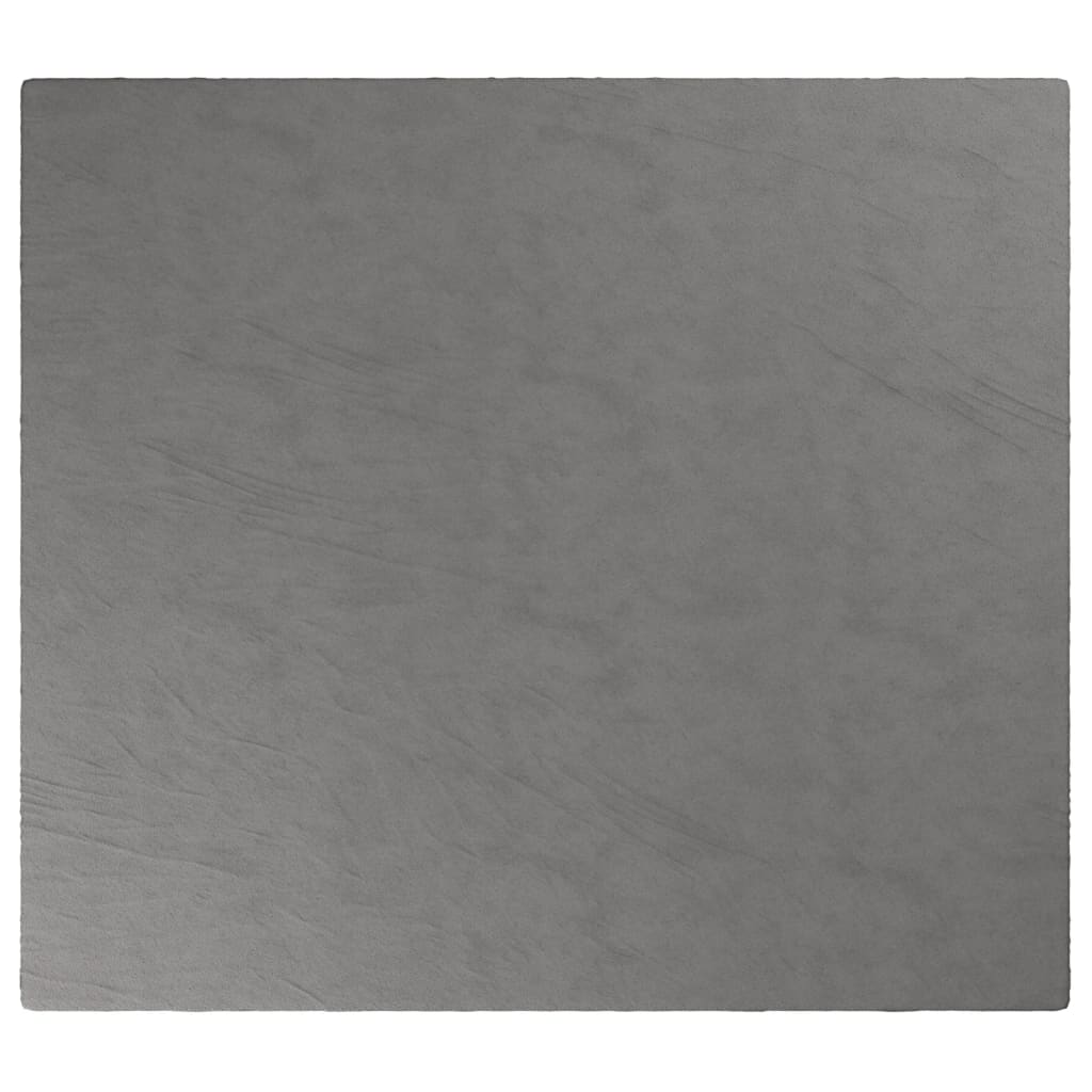 Verzwaringsdeken Met Hoes 3 Kg Stof Grijs 13 kg 200x220 cm