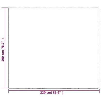 Verzwaringsdeken Met Hoes 3 Kg Stof Grijs 13 kg 200x220 cm