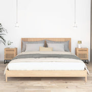 Nachtkastjes 2 st 40x30x55,5 cm bewerkt hout ijzer