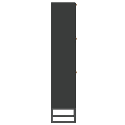 Schoenenkast 52X25X20 Cm Bewerkt Hout Zwart