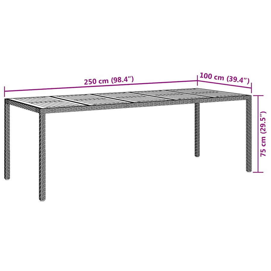 Tuinstafel Zwart 250 x 100 x 75 cm poly rattan