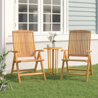 Tuinstoelen 2 st massief teakhout verstelbaar