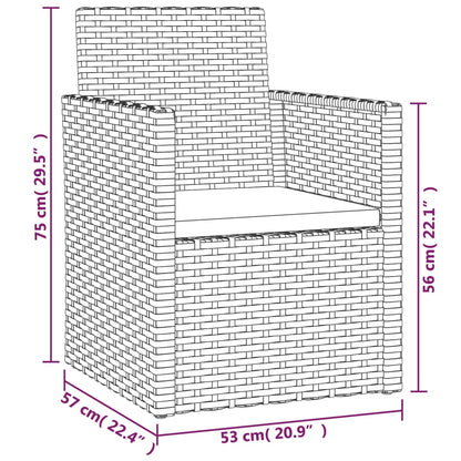 Tuinstoel Met Kussen Poly Rattan 1