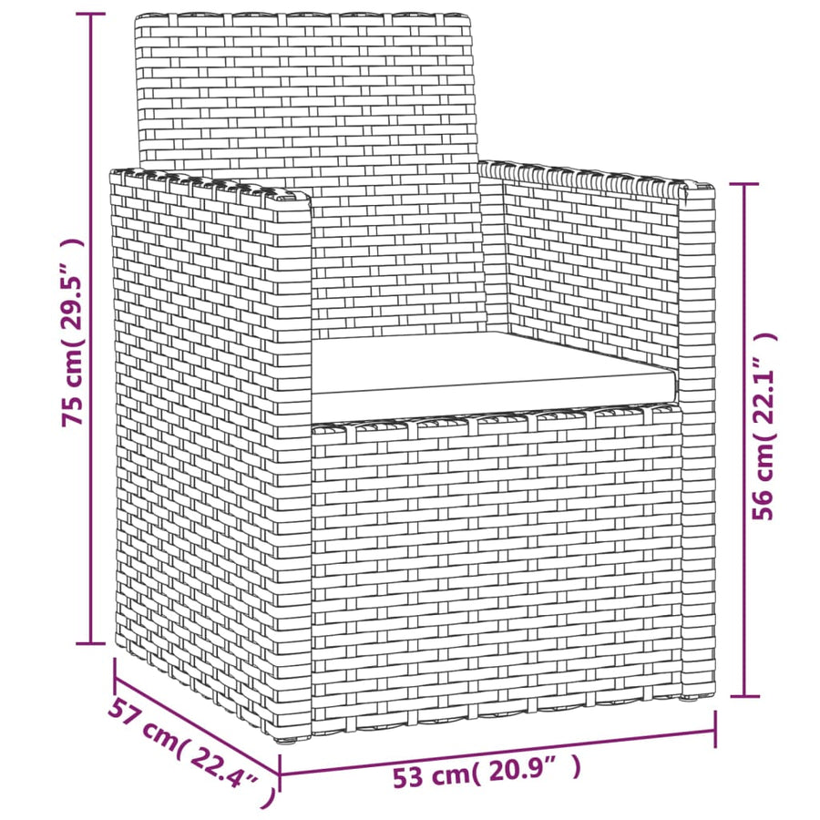 Tuinstoel Met Kussen Poly Rattan 1