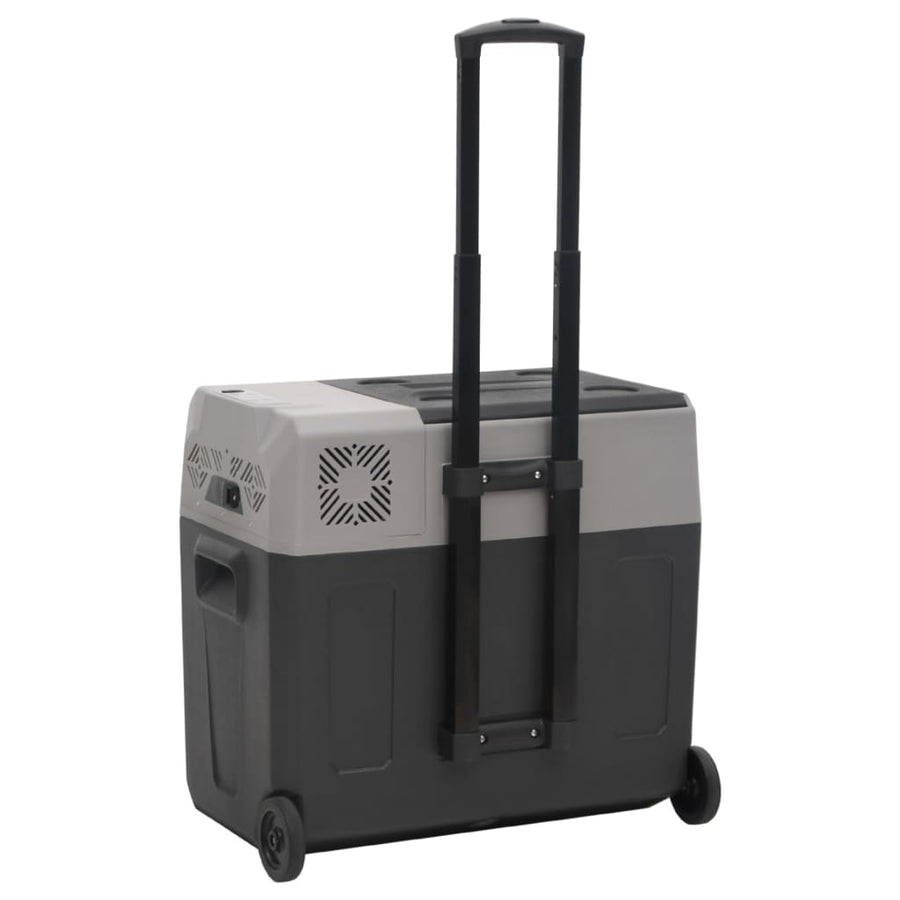 Koelbox Met Wielen En Adapter Polypropeen Zwart En Grijs 30 l met adapter