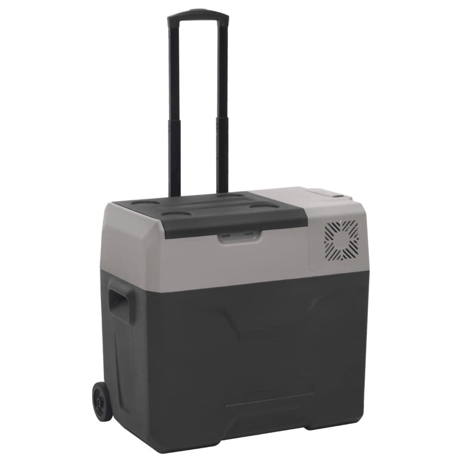 Koelbox Met Wielen En Adapter 40 L Polypropeen Zwart En Grijs