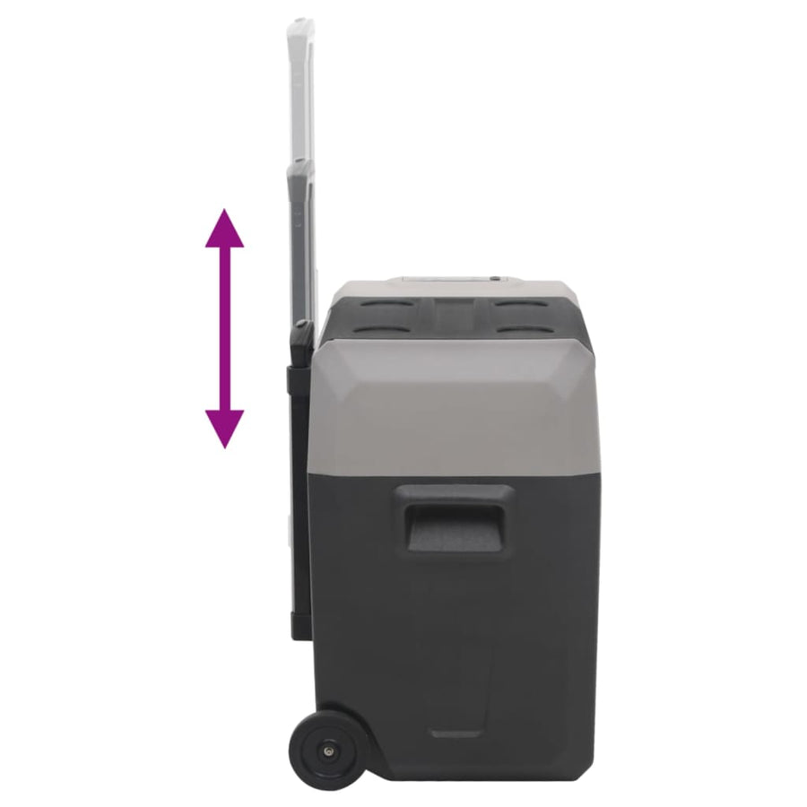 Koelbox Met Wielen En Adapter 40 L Polypropeen Zwart En Grijs