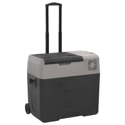 Koelbox Met Wielen En Adapter Polypropeen Zwart En Grijs 50 l met adapter