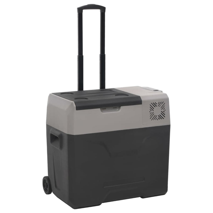 Koelbox Met Wielen En Adapter Polypropeen Zwart En Grijs 50 l met adapter