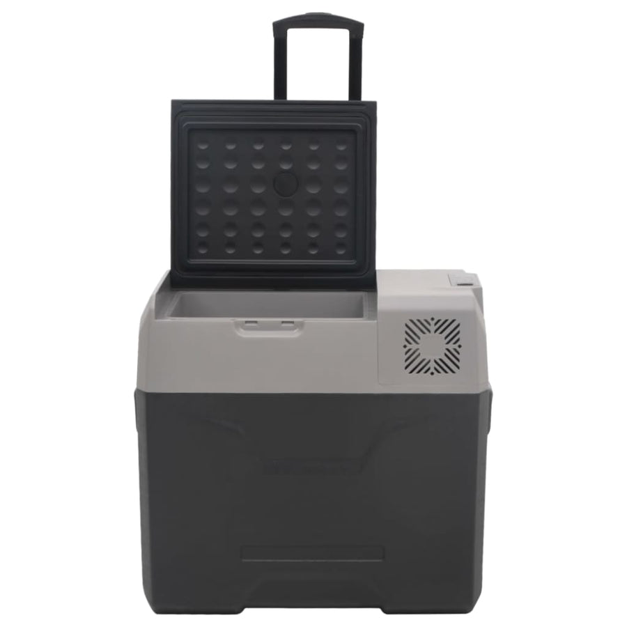 Koelbox Met Wielen En Adapter Polypropeen Zwart En Grijs 50 l met adapter