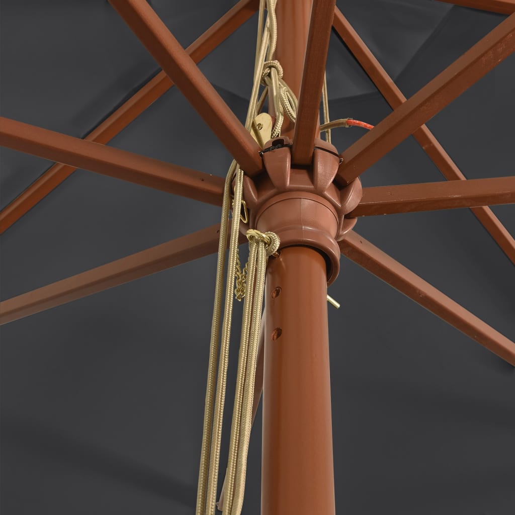 Parasol met houten paal 400x273 cm zwart