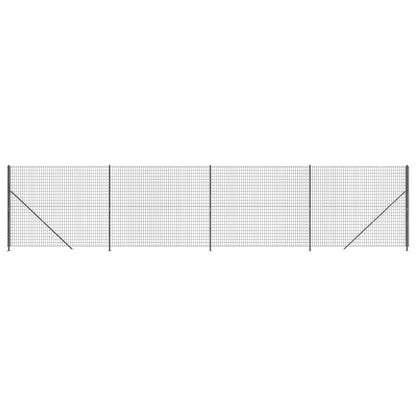 Draadgaashek met flens 2x10 m antracietkleurig 2 x 10 m Antraciet