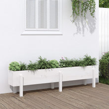 Plantenbak Verhoogd 160X30X38 Cm Massief Grenenhout Wit
