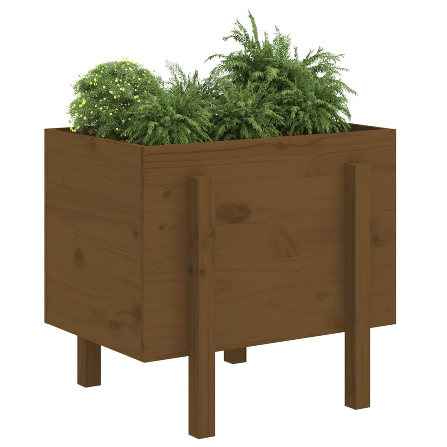 810552  Plantenbak 62X50X57 Cm Massief Grenenhout Honingbruin