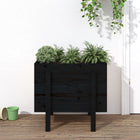 Planter 62x50x57 cm solid pine wood black