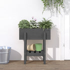 Planter 62x30x69 cm solid pine grey