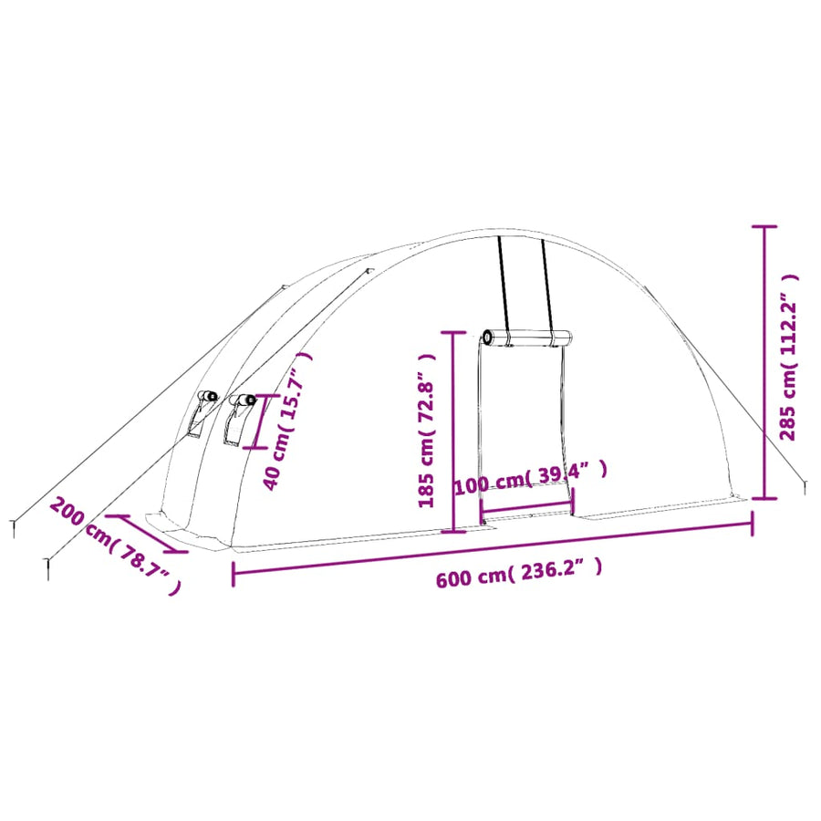 Tuinkas met stalen frame 12 m² 6x2x2,85 m 6 x 2 x 2.85 m Groen