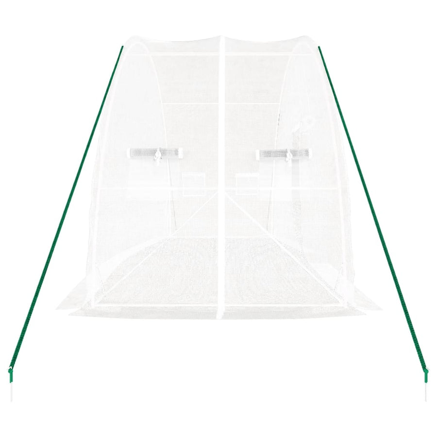 Tuinkas Met Stalen Frame 2 M² 6X2X2,85 M 6 x 2 x 2.85 m Wit
