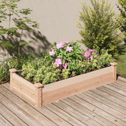 Plantenbak verhoogd 120x60x25 cm massief vurenhout