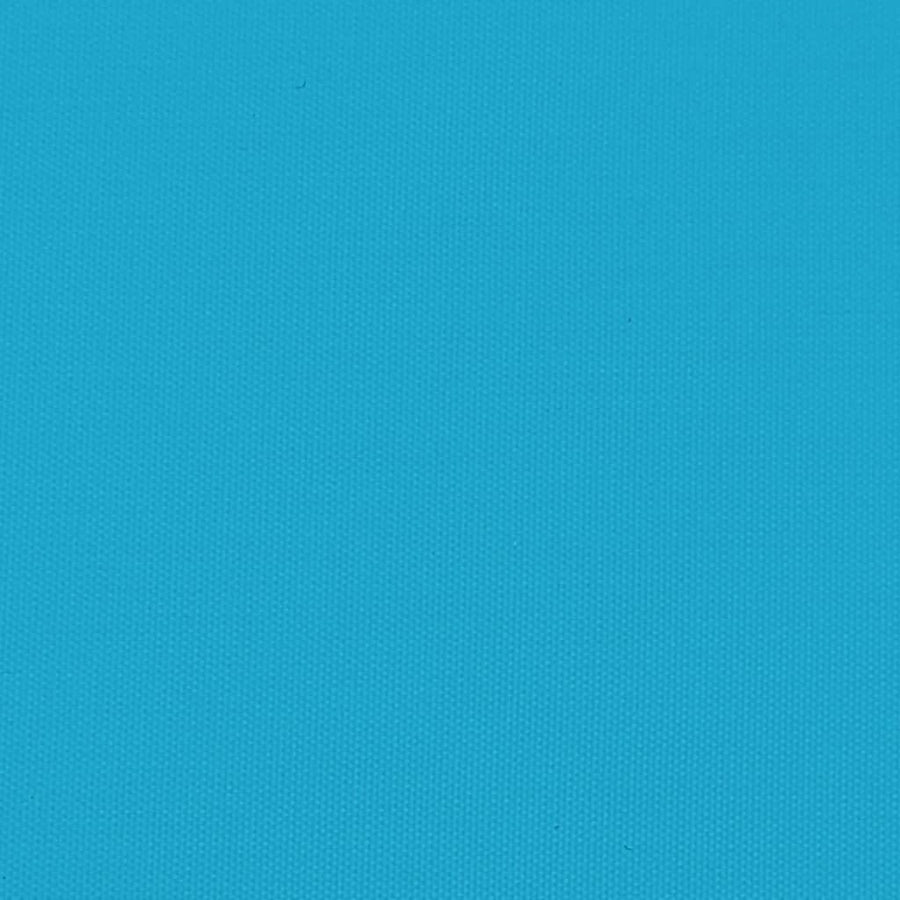 Fietstrailer 45 kg ijzer zwart en blauw
