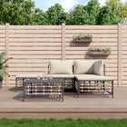 Loungeset 5-delig poly rattan antraciet
