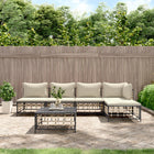 6-Delige Loungeset Met Kussens Poly Rattan Antracietkleurig Beige hoek + 3x midden + voetensteun + Tafel