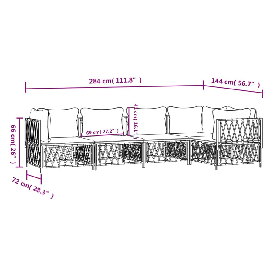 5-Delige Loungeset Met Kussens Staal Kleurig 1