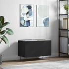 Record cabinet 74.5x38x48 cm carved wood black