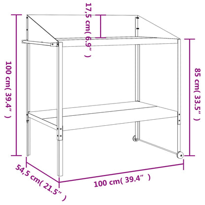 Plantenstandaard 100X54,5X100 Cm Verzinkt Staal Antracietkleur