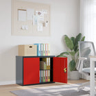 Archiefkast Staal Kleurig En 90 x 40 x 70 cm Antraciet en rood