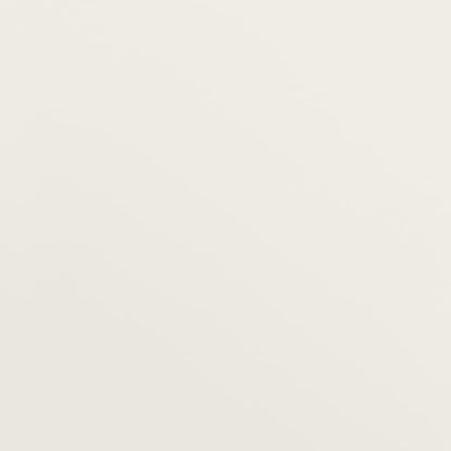 Archiefkast 90x40x180 cm staal wit