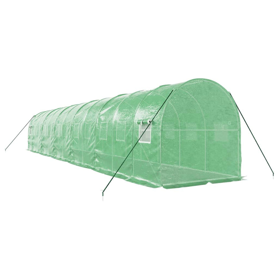 Tuinkas Met Stalen Frame 24 M² 12 x 2 x 2 m Groen