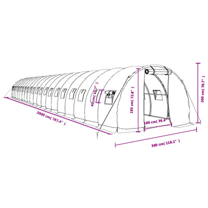 Tuinkas Met Stalen Frame 60 M² 20 x 3 x 2 m