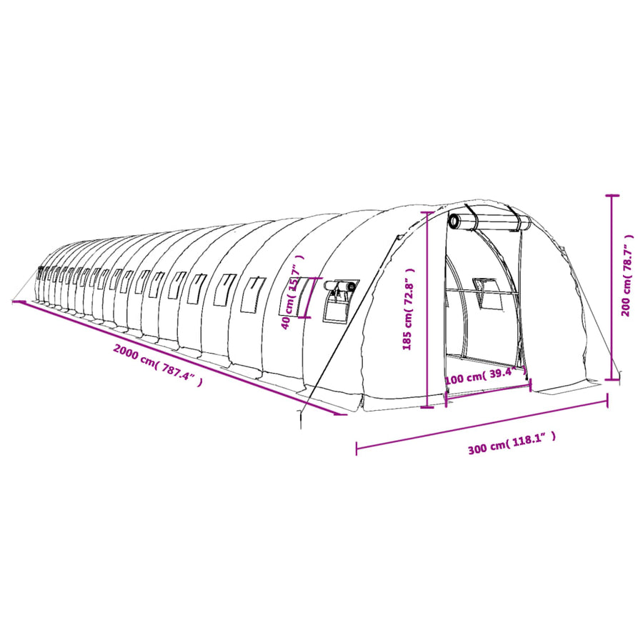 Tuinkas Met Stalen Frame 60 M² 20 x 3 x 2 m