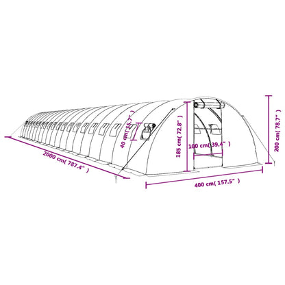 Tuinkas Met Stalen Frame 80 M² 20X4X2 M Groen