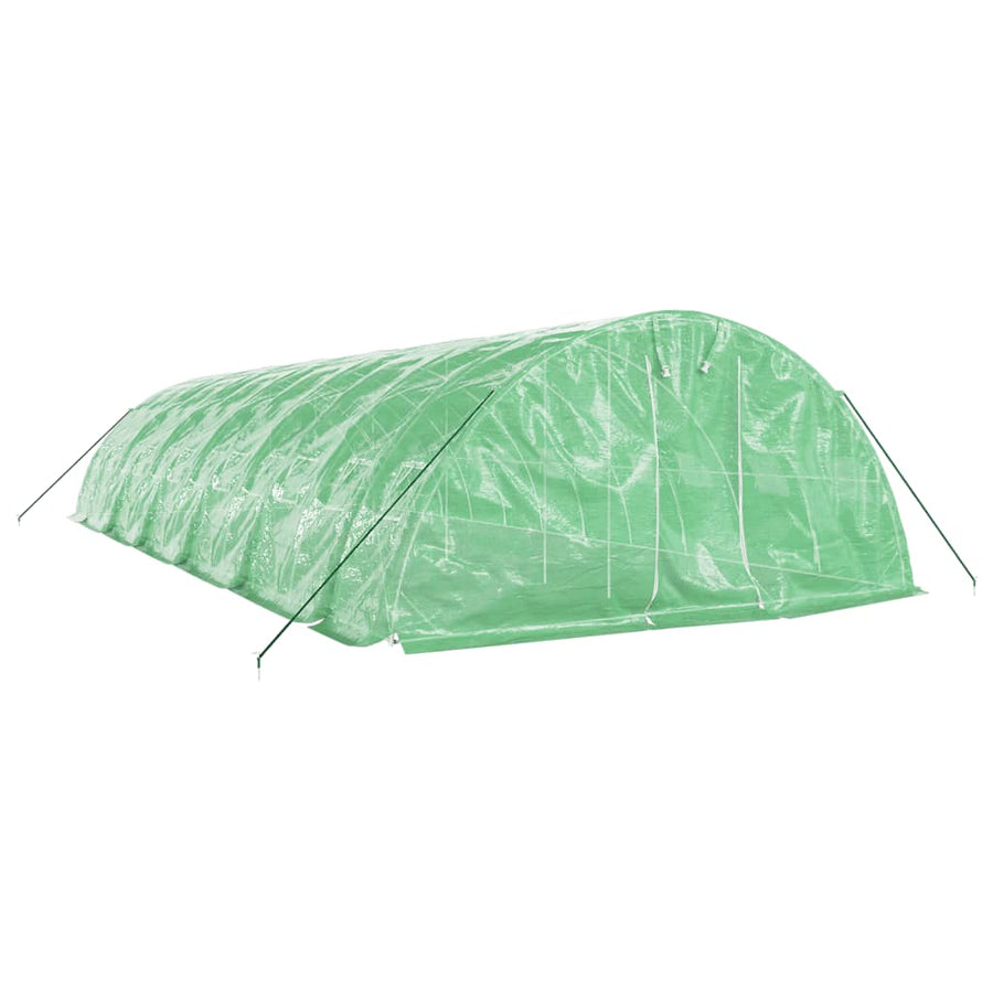 Tuinkas Met Stalen Frame 60 M² 2X5X2,3 M 12 x 5 x 2.3 m Groen