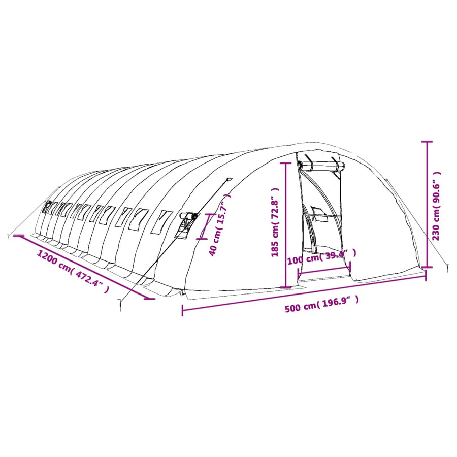 Tuinkas Met Stalen Frame 60 M² 2X5X2,3 M 12 x 5 x 2.3 m Groen