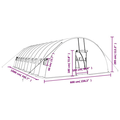 Tuinkas Met Stalen Frame 60 M² 0X6X2,85 M 10 x 6 x 2.85 m Groen