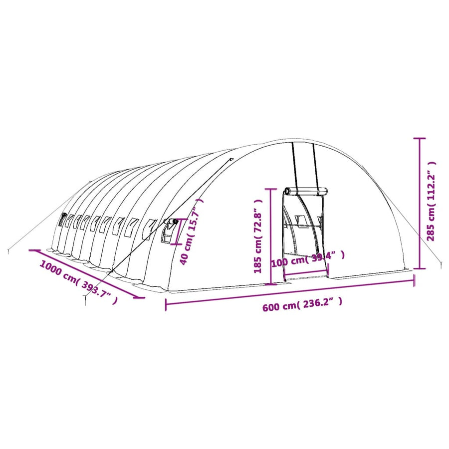 Tuinkas Met Stalen Frame 60 M² 0X6X2,85 M 10 x 6 x 2.85 m Groen