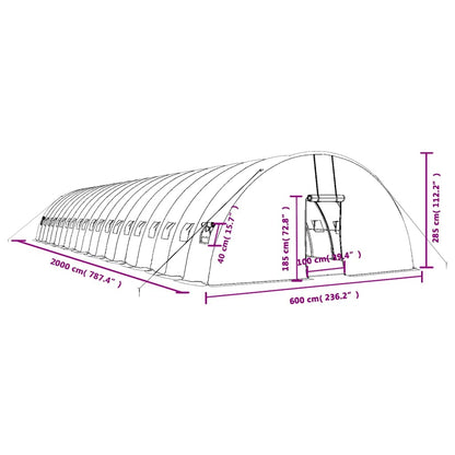 Tuinkas Met Stalen Frame 120 M² 20X6X2,85 M 20 x 6 x 2.85 m