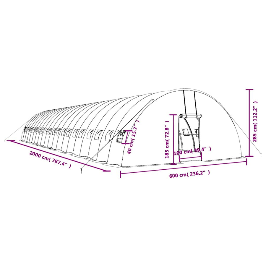 Tuinkas Met Stalen Frame 120 M² 20X6X2,85 M 20 x 6 x 2.85 m