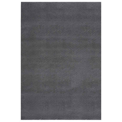 Vloerkleed shaggy antracietkleurig 240x340 cm polyester