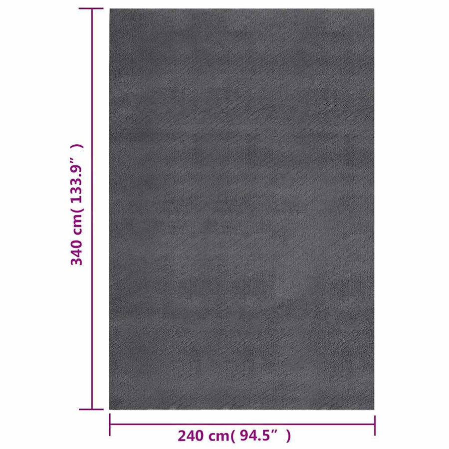 Vloerkleed shaggy antracietkleurig 240x340 cm polyester