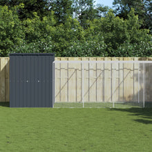 Kippenhok Met Ren Staal 165 x 1271 x 181 cm Antraciet
